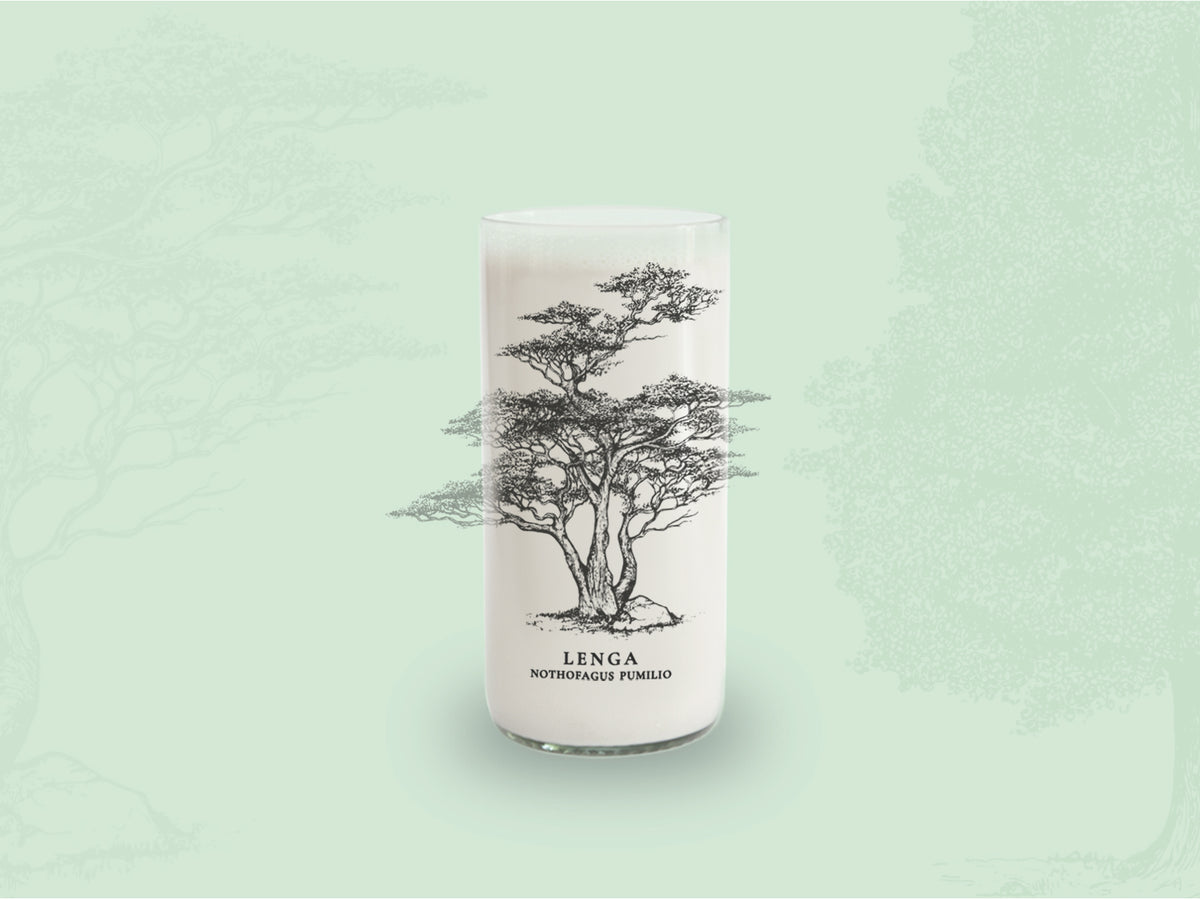 Árboles de Chile - Juego de 6 Vasos - 500 ml