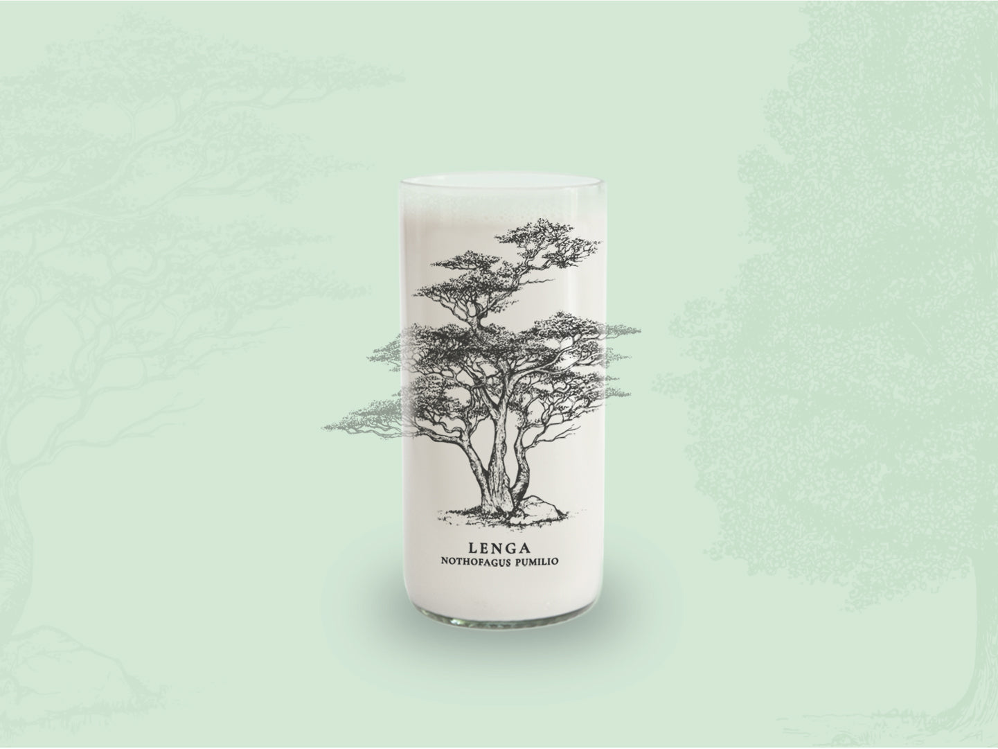 Árboles de Chile - Juego de 6 Vasos - 500 ml