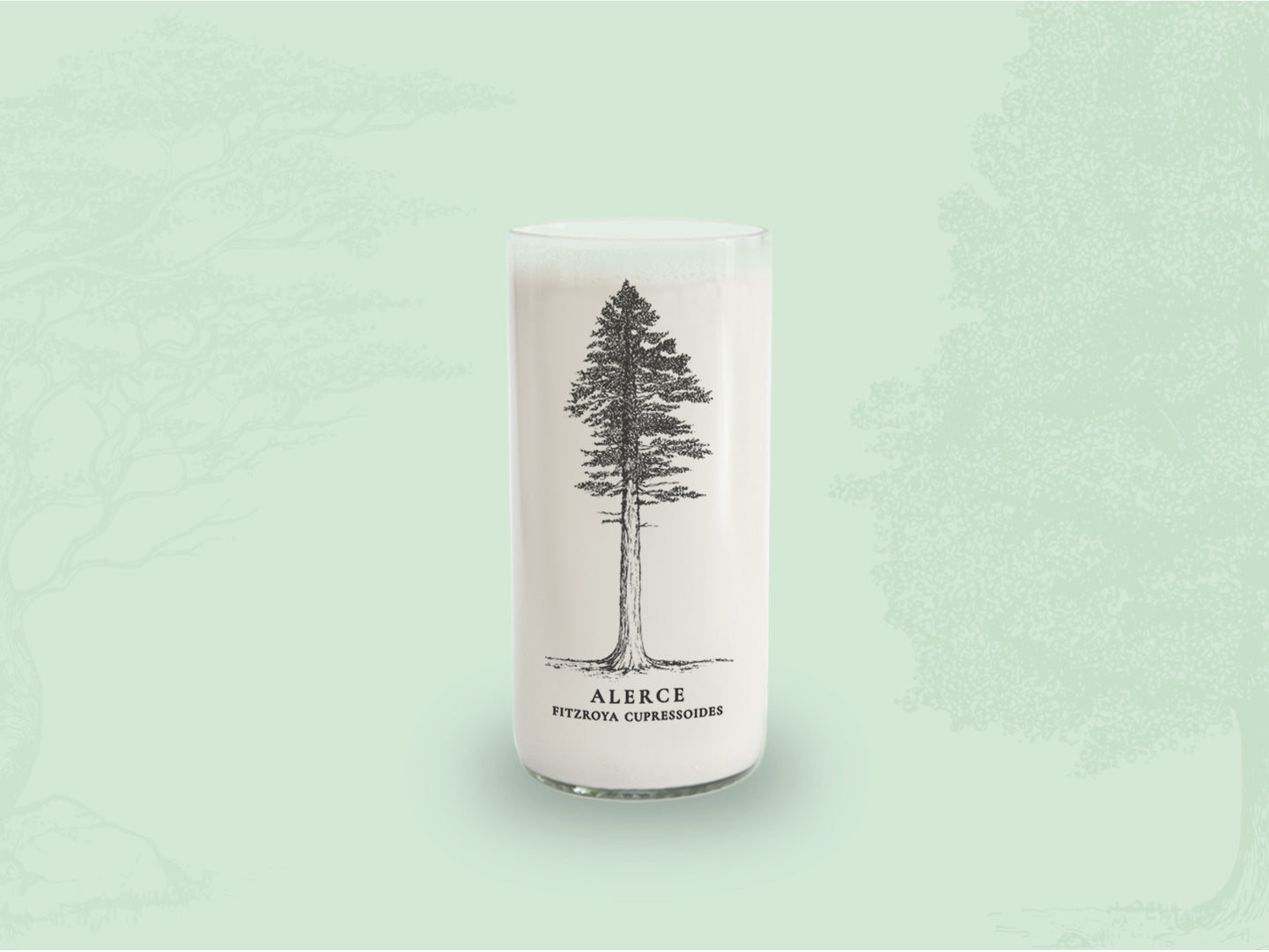 ALERCE - Arboles Nativos Vasos Green Glass