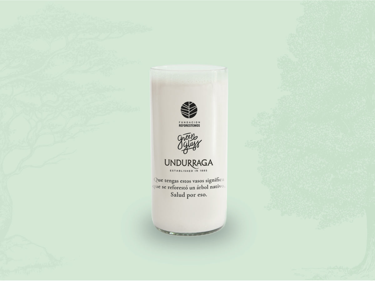 Árboles de Chile - Juego de 6 Vasos - 500 ml