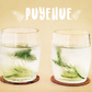 Puyehue Juego de 6 Vasos