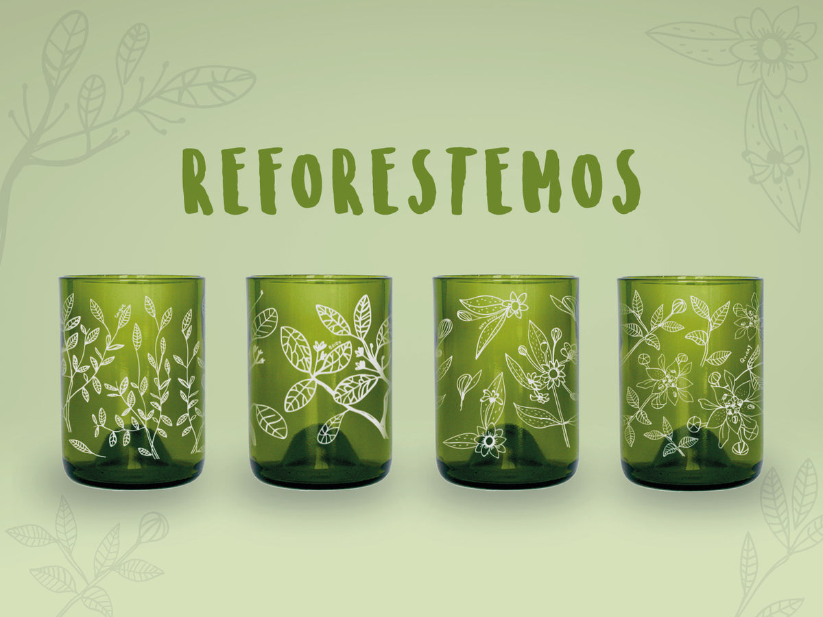Reforestemos - Juego de 4 Vasos - 330 ml