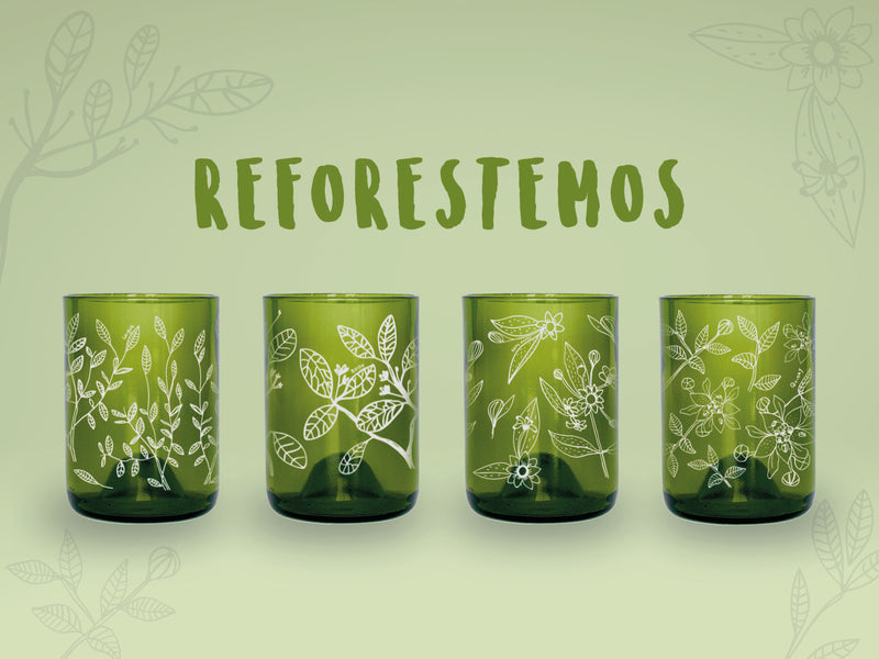 Reforestemos - Juego de 4 Vasos - 330 ml