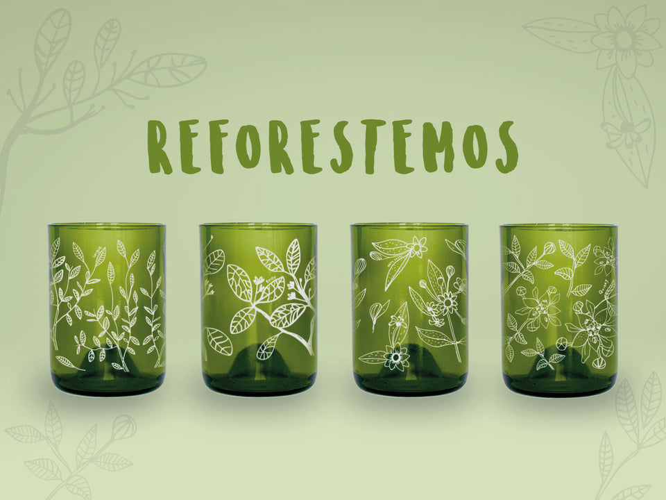 Reforestemos - Juego de 4 Vasos - 330 ml