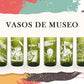 Vasos De Museo 6 Pack 500ml